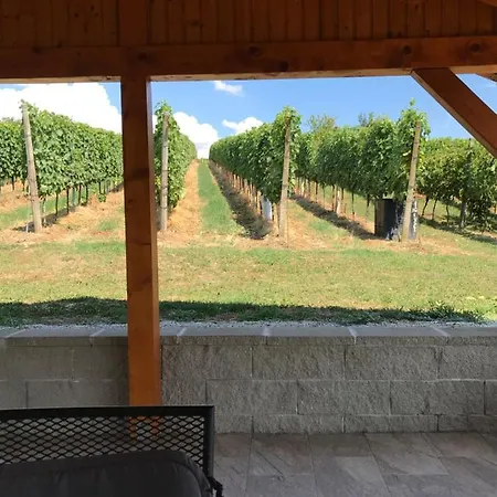 Дом отдыха Vinska Klet Sersen