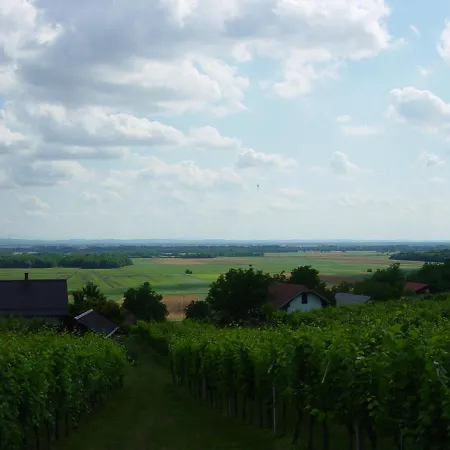 Vinska Klet Sersen *