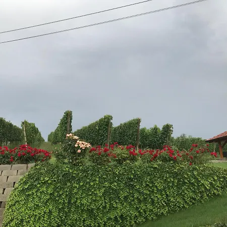 Vinska Klet Sersen Дом отдыха Добровник