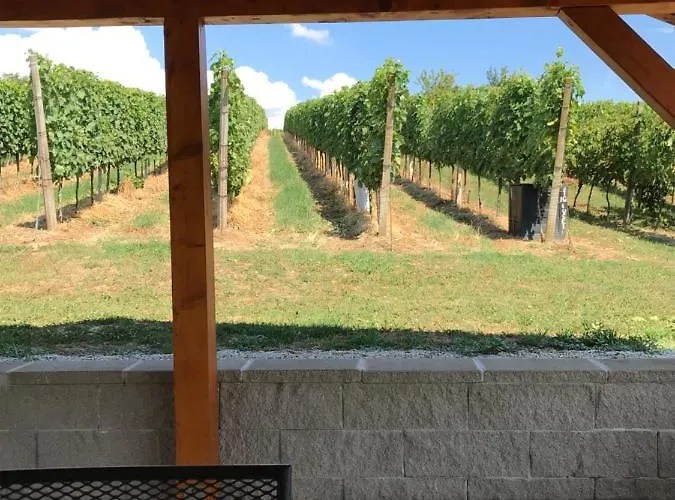 Holiday home Vinska Klet Sersen