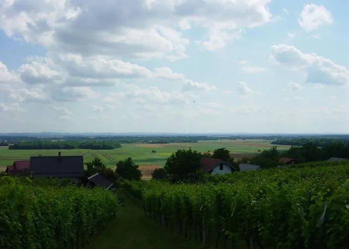 Vinska Klet Sersen *