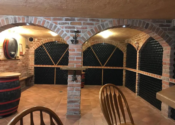 Vinska Klet Sersen 度假居 *