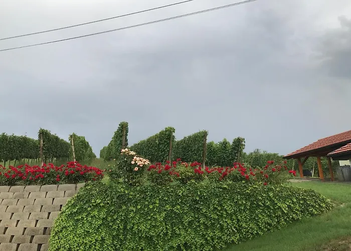 Vinska Klet Sersen 度假居 杜布罗夫尼克